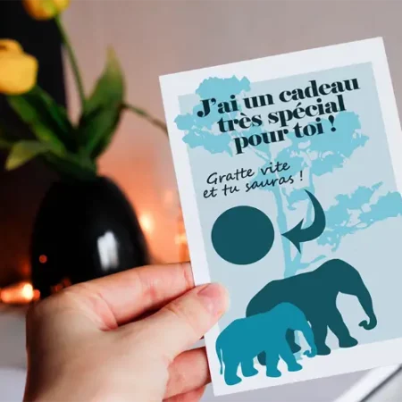 ELEPHANTS_1